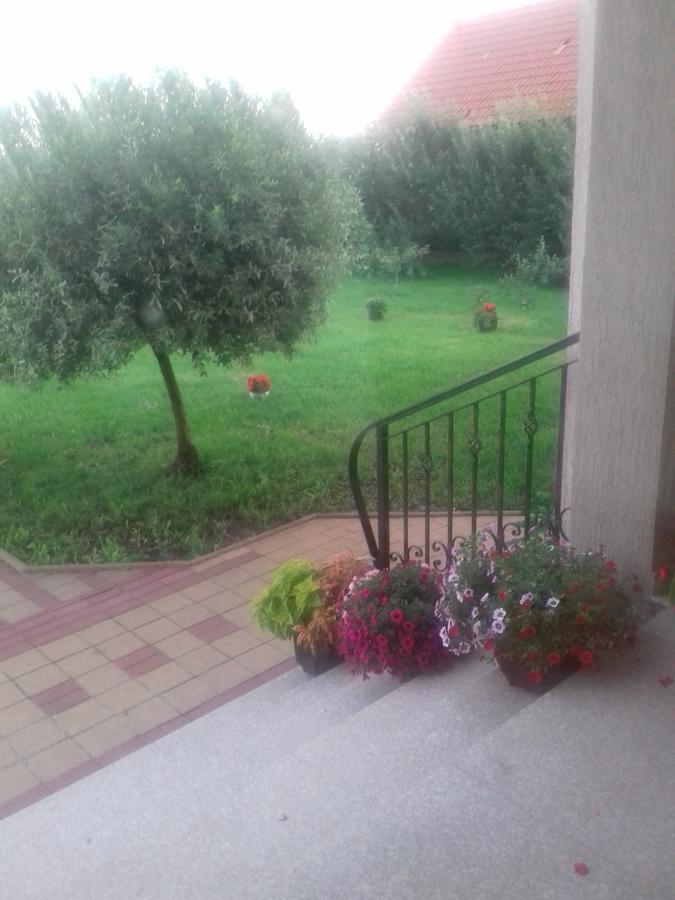Pensiunea Abel Hotel Mihai Viteazu  Exterior foto