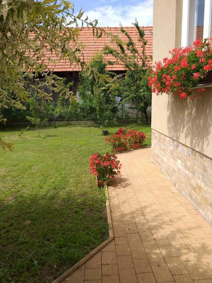 Pensiunea Abel Hotel Mihai Viteazu  Exterior foto