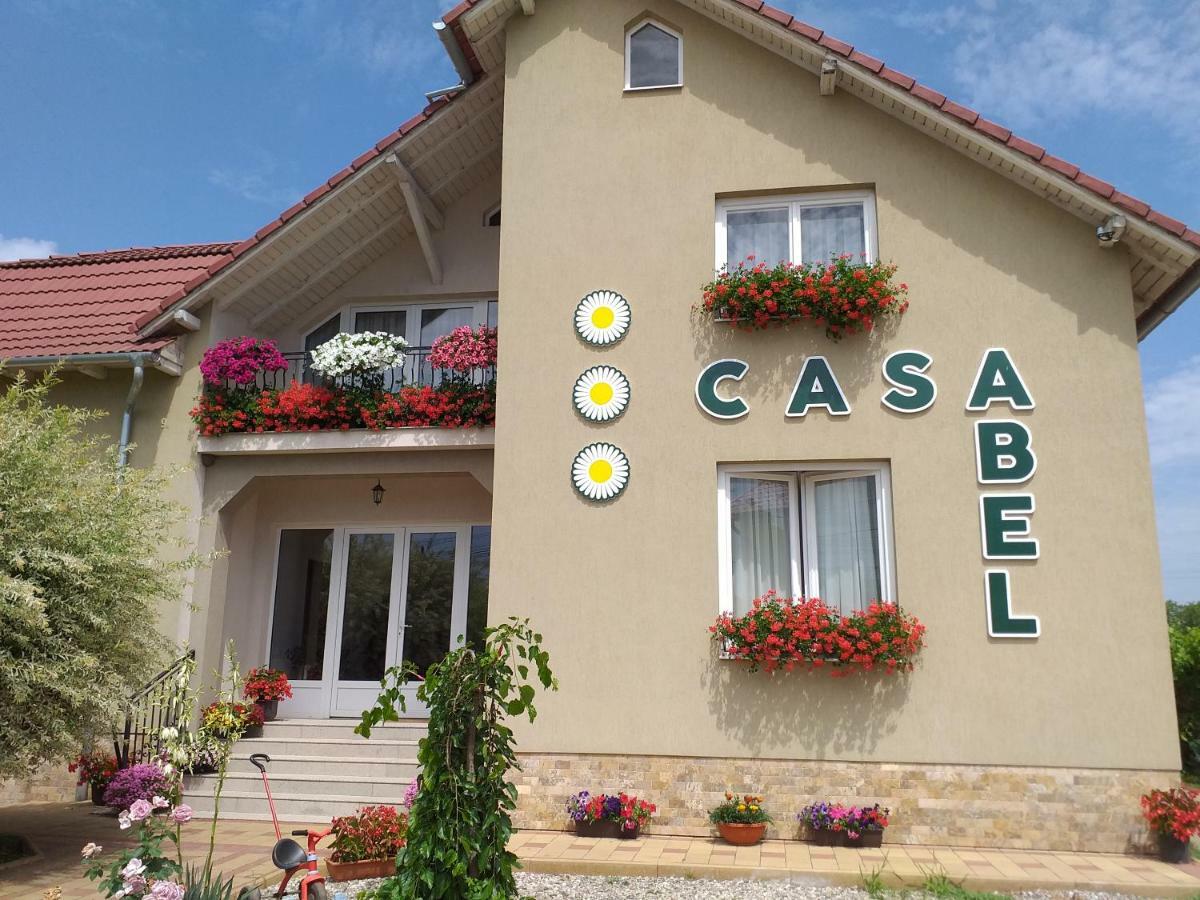 Pensiunea Abel Hotel Mihai Viteazu  Exterior foto